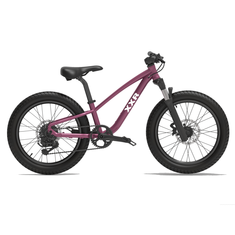 XXR26FR20-100-220 20"x220mm
