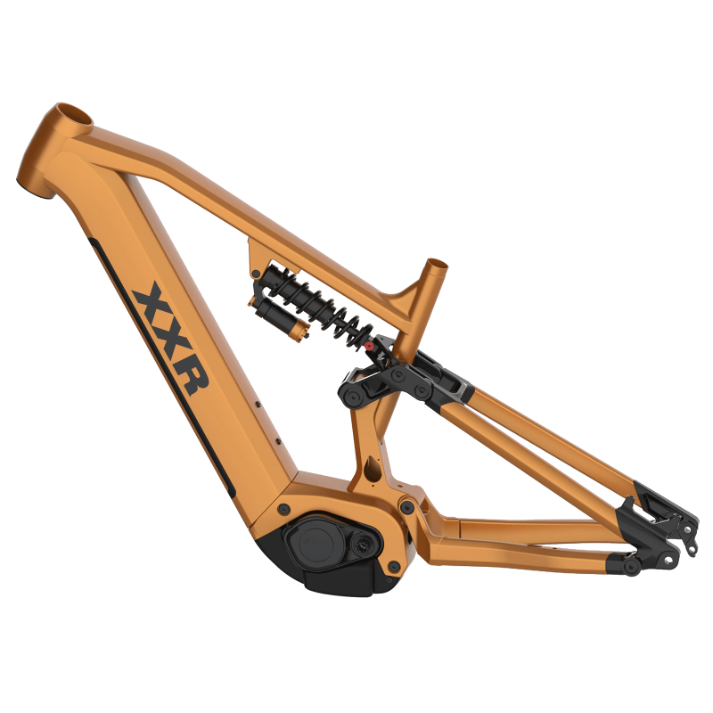 Frame: XXR_DF29440M0073